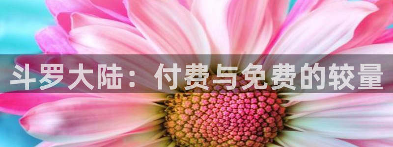 韩漫香蕉漫画：斗罗大陆：付费与免费的较量